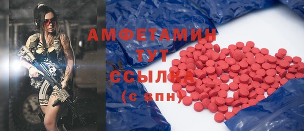 меф Пересвет