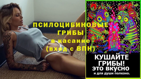 а пвп мука Переславль-Залесский